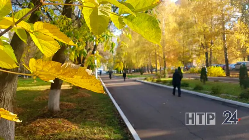 В Татарстане поднимется ветер до 20 м/с, а воздух прогреется до +22