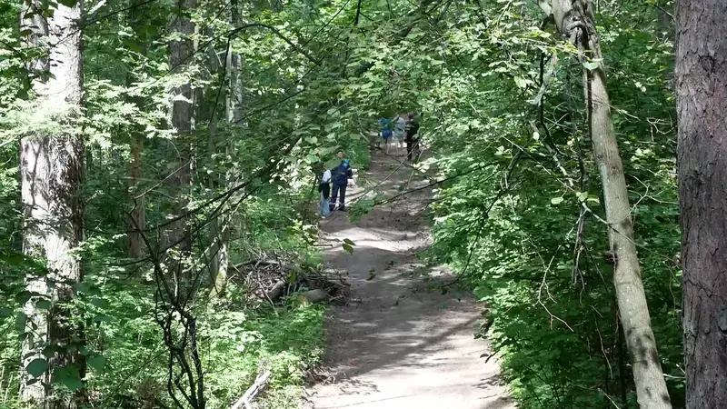 В День города в Нижнекамске откроют первую экотропу