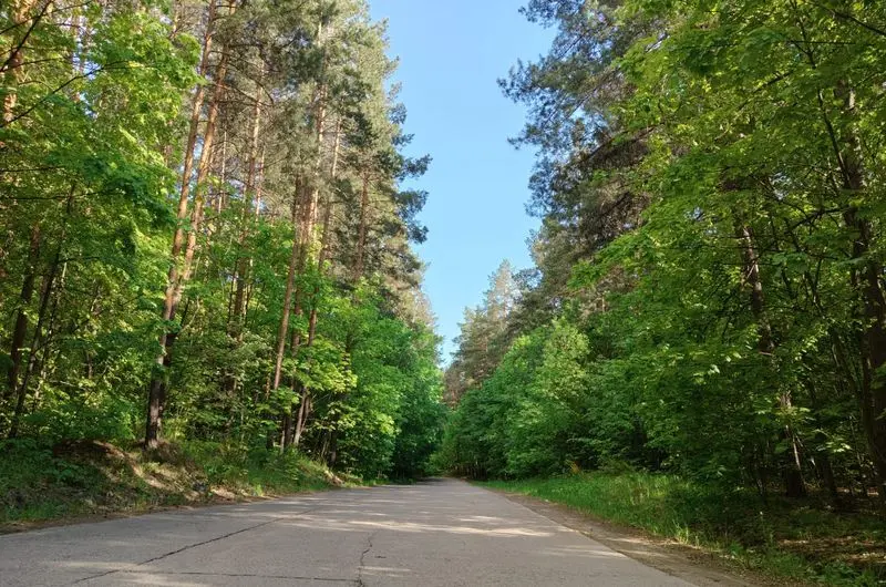 Штормовое предупреждение о пожароопасности лесов продлено в Татарстане