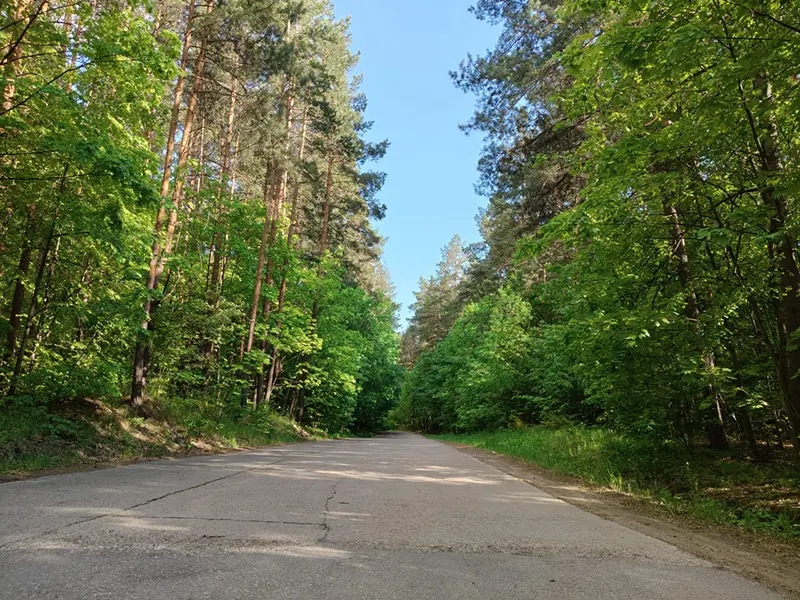 В Татарстане пройдет акция по сохранению леса