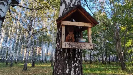 Татарстанцам рассказали, сколько в республике продержится теплая погода