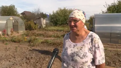 Дачный сезон заканчивается, нижнекамцы готовят огороды к зиме