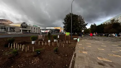 Бульвар имени Менделеева в Нижнекамске