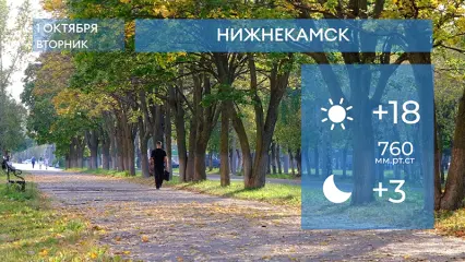 Прогноз погоды в Нижнекамске на 1-е октября 2024 года