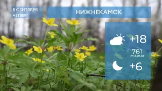 Прогноз погоды в Нижнекамске на 5-е сентября 2024 года