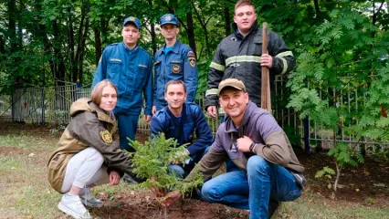 В нижнекамском «Саду памяти» появилась карельская ель