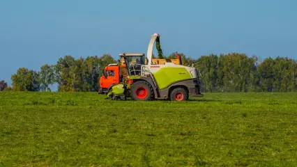 Помощник главы Нижнекамского района поделился яркими фото с кормозаготовки