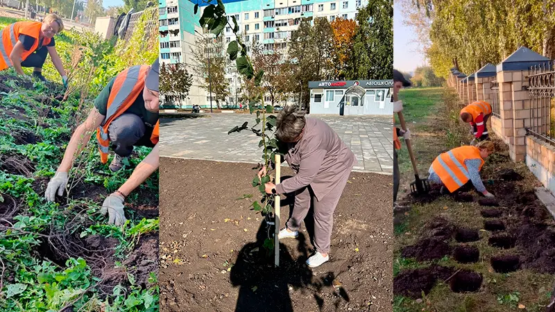 Улицы Нижнекамска украсили декоративными кустарниками и деревьями