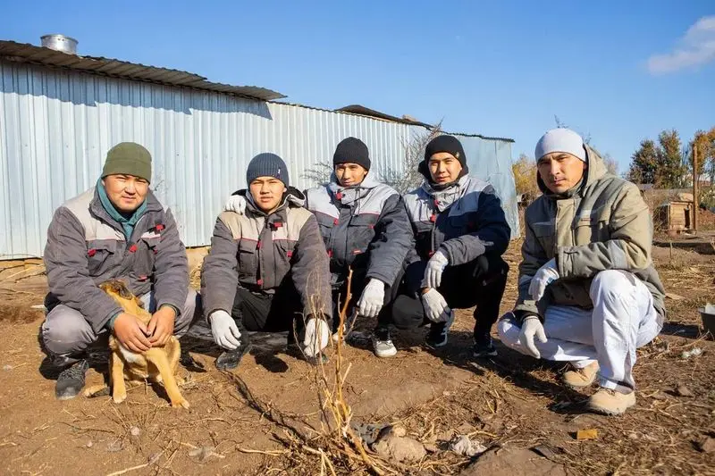 Иностранные специалисты построили будки в нижнекамском приюте для бездомных животных