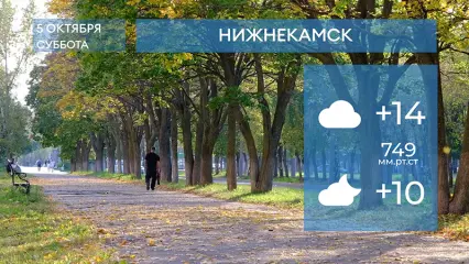 Прогноз погоды в Нижнекамске на 5-е октября 2024 года