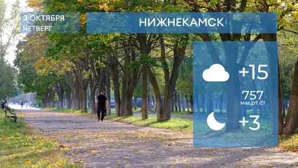 Прогноз погоды в Нижнекамске на 3-е октября 2024 года