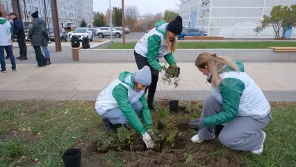 Нижнекамцы высадили саженцы деревьев на новом променаде в 27-м микрорайоне