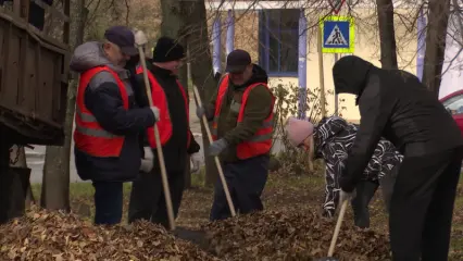 До конца осени в Нижнекамске высадят около 5 тысяч саженцев деревьев