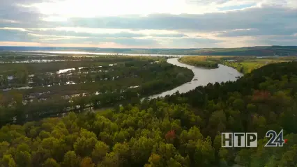 Жителям Татарстана на три недели запретили посещать леса из-за пожароопасности