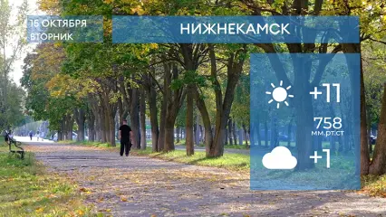 Прогноз погоды в Нижнекамске на 15-е октября 2024 года