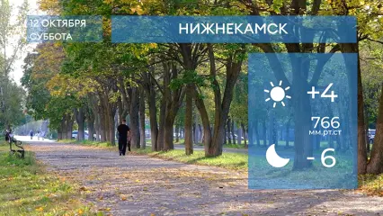 Прогноз погоды в Нижнекамске на 12-е октября 2024 года