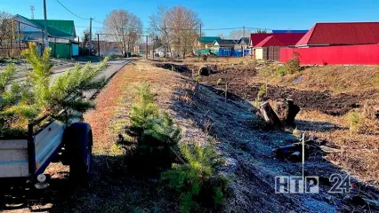 В Нижнекамском районе в День работника сельского хозяйства прошла экоакция