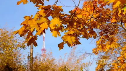 В Татарстане ночи станут теплее, а дни дождливее