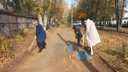 Нижнекамцы собрали более 500 мешков листвы в двух микрорайонах