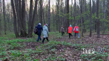 В Нижнекамске объявлен сбор на поиск пропавшего 60-летнего мужчины