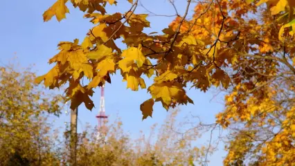 Тепло и солнечно: в Татарстан не торопятся приходить холода