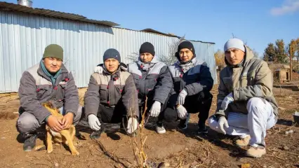 Иностранные специалисты построили будки в нижнекамском приюте для бездомных животных