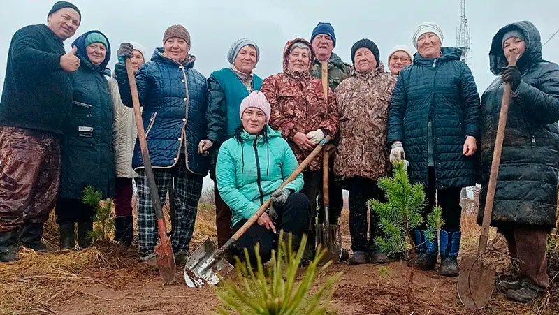 Ко Дню народного единства жители Сухарево высадили деревья