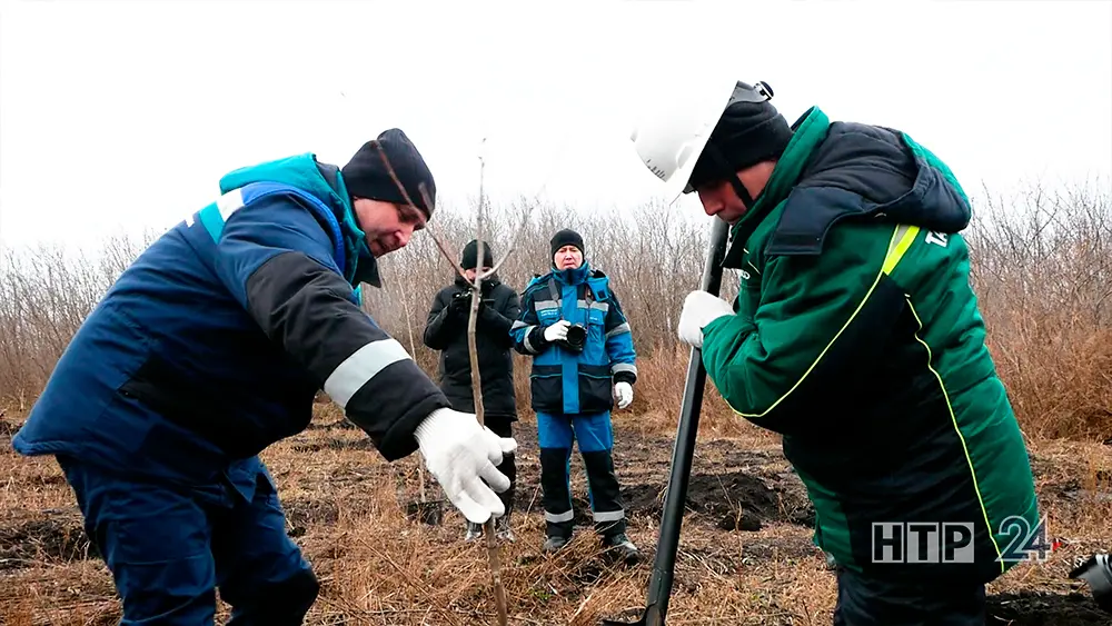 В Нижнекамском районе прошла совместная высадка деревьев СИБУРа и «Татнефти»