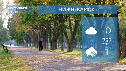 Прогноз погоды в Нижнекамске на 14-е ноября 2024 года