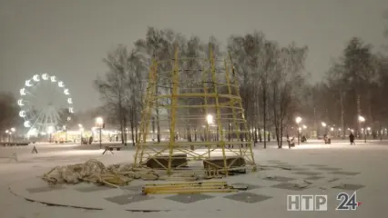 В Нижнекамске в парке «Семья» начался монтаж новогодней ёлки