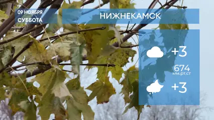 Прогноз погоды в Нижнекамске на 9-е ноября 2024 года