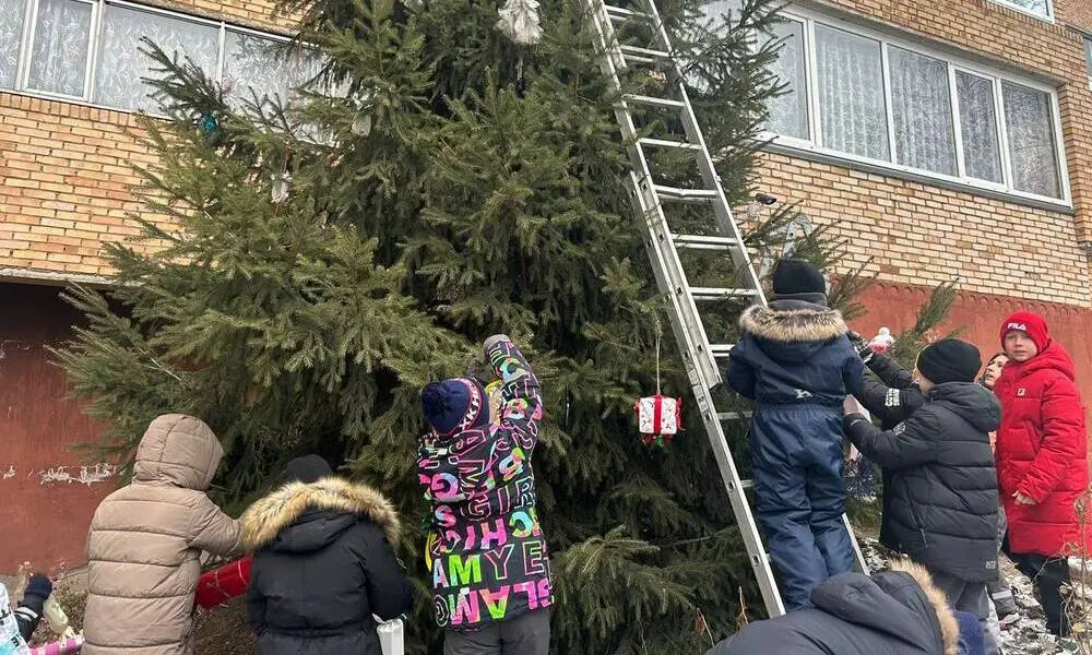 Новогодняя традиция: нижнекамцы шестой год подряд украшают елку в своем дворе