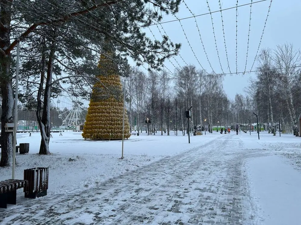 Сегодня в Нижнекамске открывается первый ёлочный городок