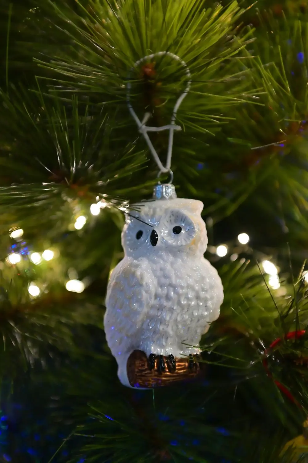 Сова — символ мудрости // Фото: unsplash.com/photos/a-white-owl-ornament-hanging-from-a-christmas-tree-RcQ3IyWWVsI