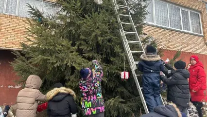 Новогодняя традиция: нижнекамцы шестой год подряд украшают елку в своем дворе