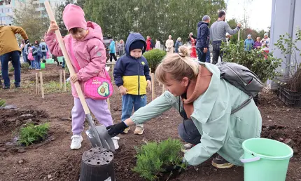 Сейчас бело, а будет зелено!