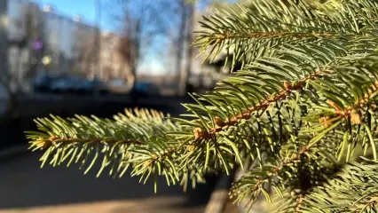 Атлантический циклон принёс в Татарстан аномальное тепло