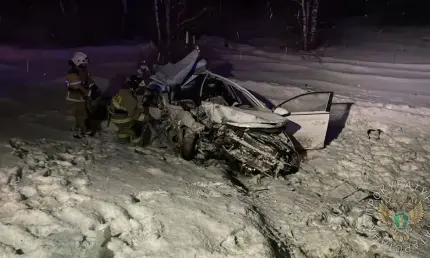 В Елабужском районе Татарстана 2 человека погибли в ДТП