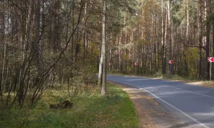 В Татарстане обнаружили новые виды грибов и животных