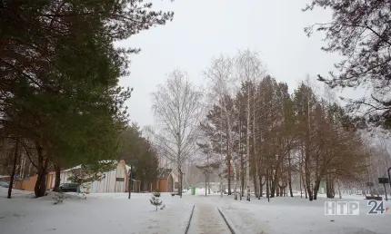 Снег и туман придут в Татарстан в воскресенье