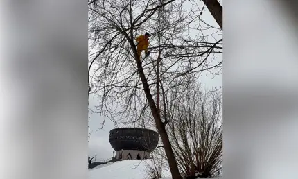 Нижнекамец забрался на дерево у казанской «Чаши» и нарвался на охрану