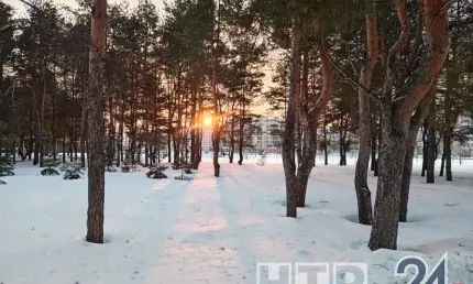 Циклон принесет снег в Татарстан: прогноз погоды на последнюю неделю зимы