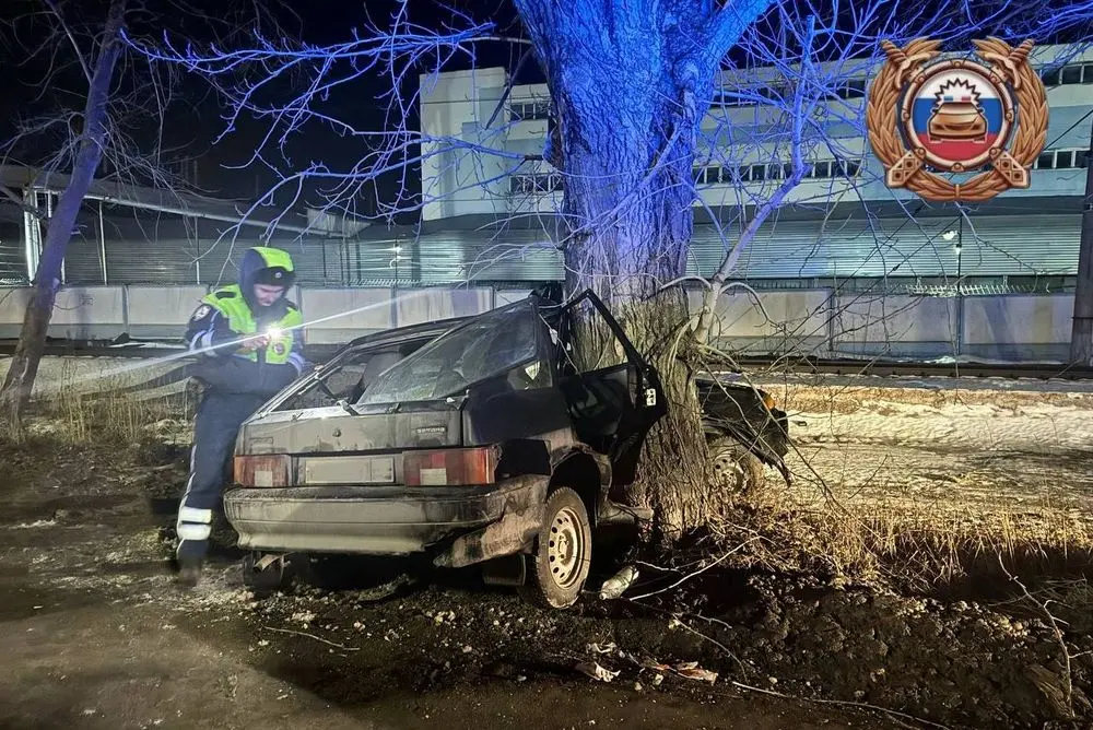 В Зеленодольске мужчина на 14-й врезался в дерево и погиб