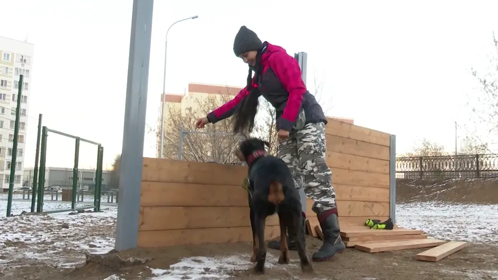 В Нижнекамске создают дружелюбную для собак и их владельцев среду