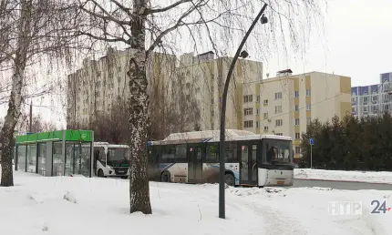 Сильный северо-восточный ветер принесёт холод в Татарстан