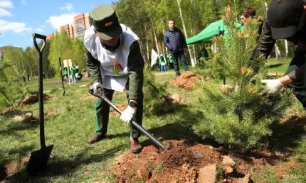 В Татарстане акцию «Сад памяти» посвятят 80-летию Победы